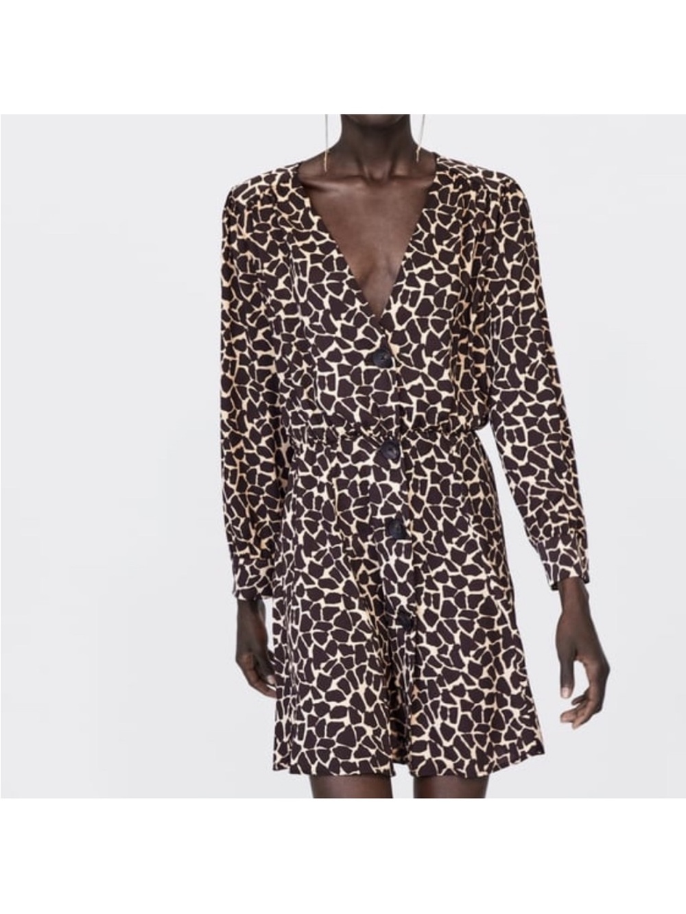 Zara Brown and Cream Printed Long-Sleeve Fit & Flare Dress